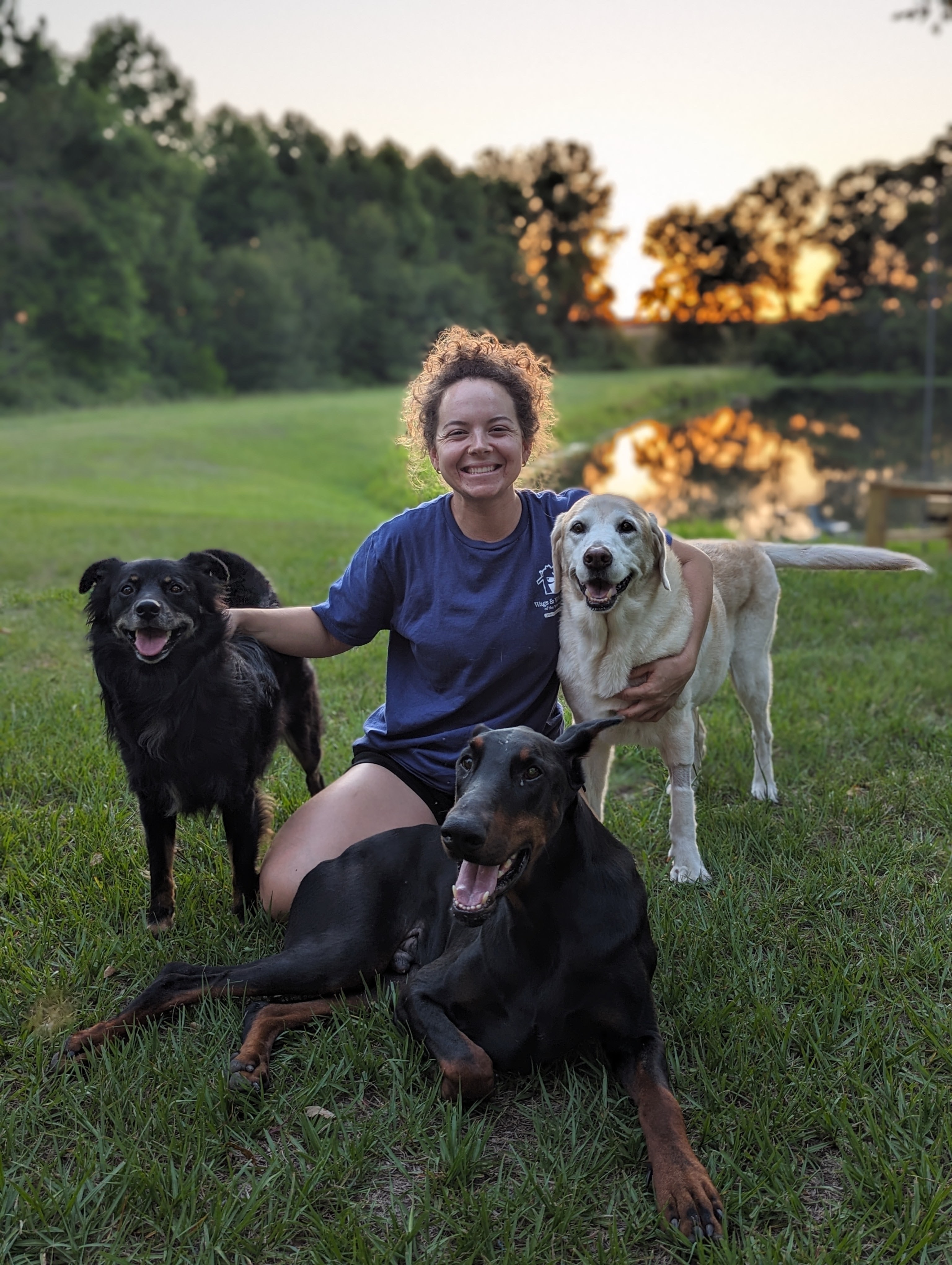 Professional dog trainer with a happy golden retriever in a sunny training field
